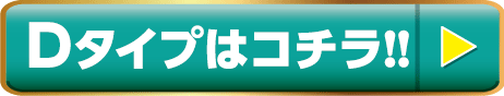 部屋タイプD